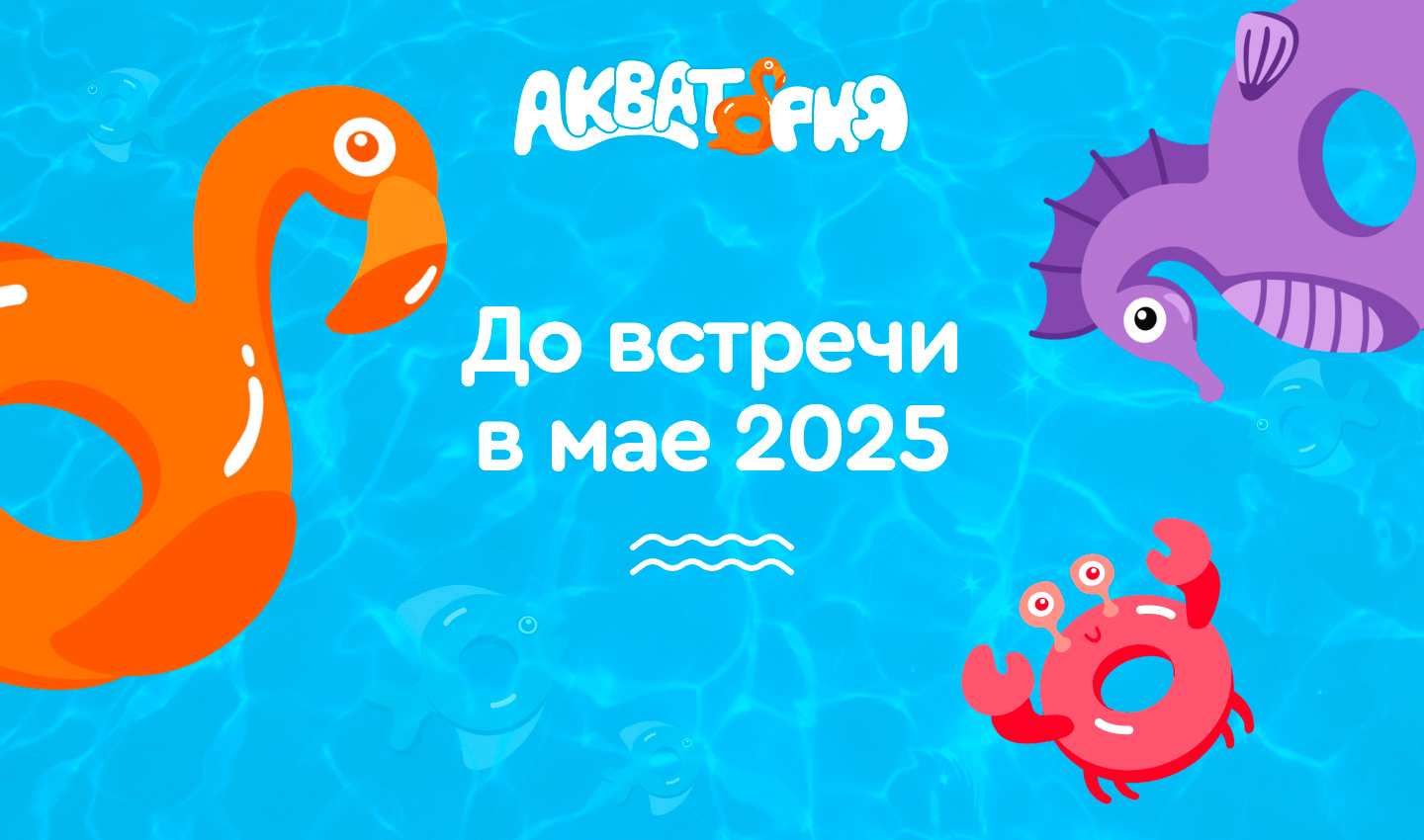 Акватория: до встречи в 2025 году